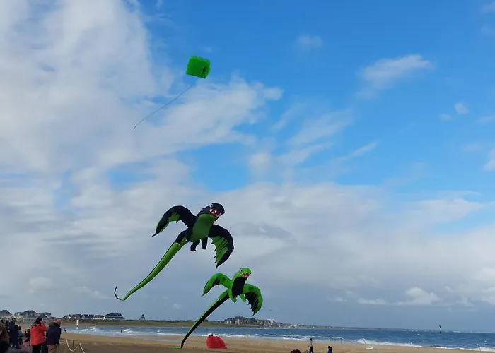 Le Colibri
